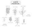 November 2025 Winter Foliage Metal Die Set